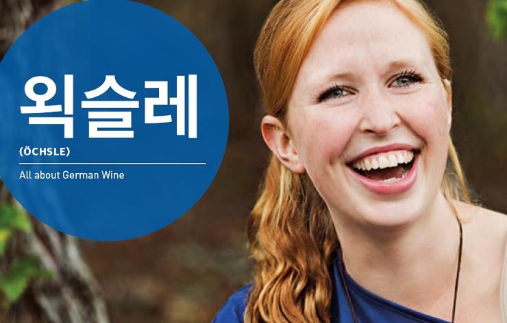 독일 와인 정보(한글판) 무료로 받아보세요!-왹슬레