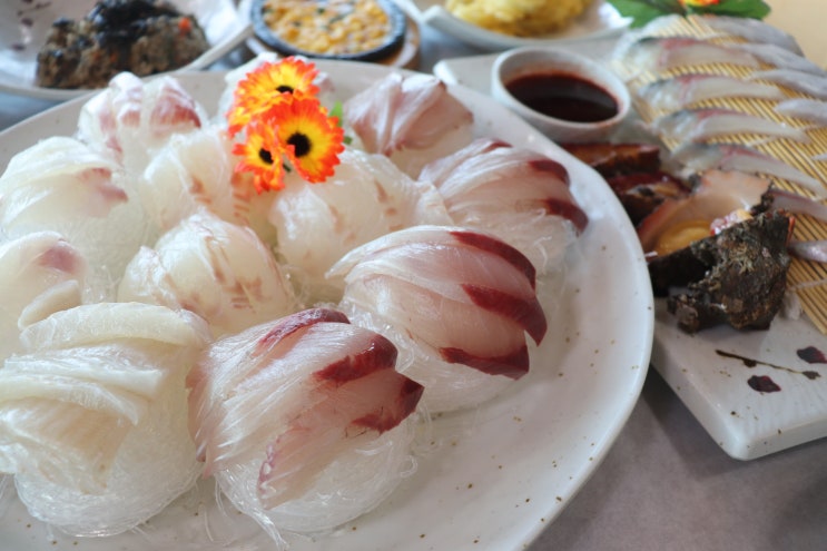  제주도 맛집 갓 잡은 싱싱한 회