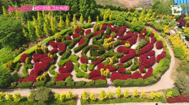  불타는청춘 태안 청산수목원 미로 공원 이름 위치 어디?