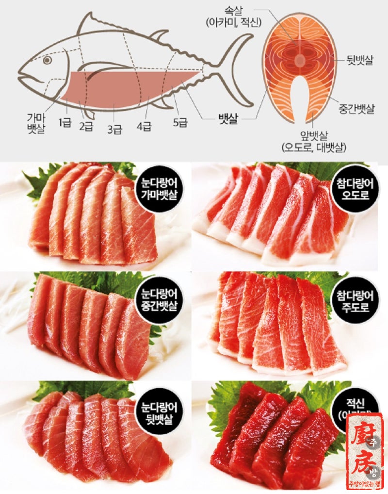 요이참치 이미지