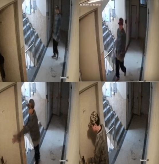  신림동 강간미수범 체포 주거침입죄??(CCTV 동영상 포함)