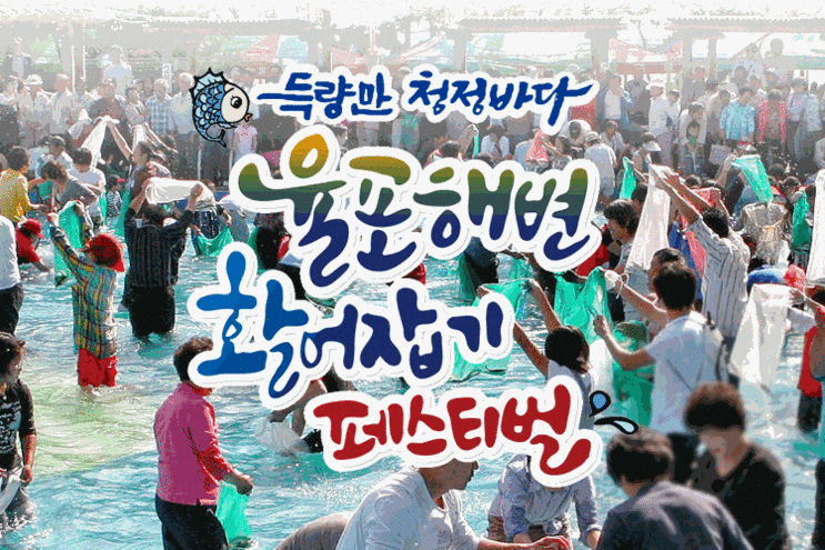  보성율포 활어잡기페스티벌 너무 재밌쟈나!!