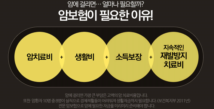  암진단금실손보험 여기가 딱입니다