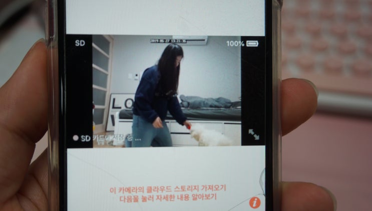  강아지 돌보미 펫시터가 집으로 와요 "와요"어플 솔직후기