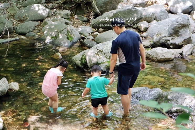 가평여행 아이와 가볼만한곳 유명산자연휴양림