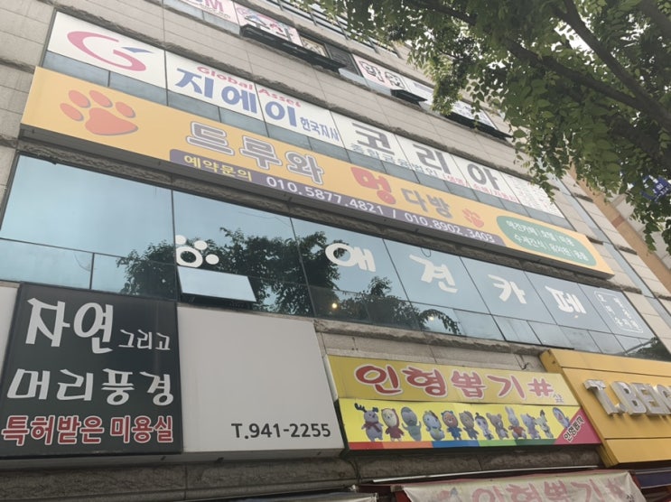  [광주 카페] 신가동 애견카페 멍다방