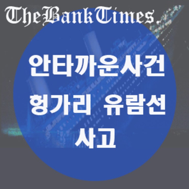  헝가리 다뉴브강  사고원인 및 내용