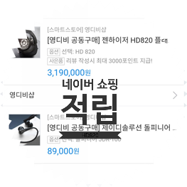  네이버페이 계좌이체 충전 적립과 할인 쿠폰 적용! HD820 & 돌피니어 & 루데아 턱 리프팅 밴드 구매 인증