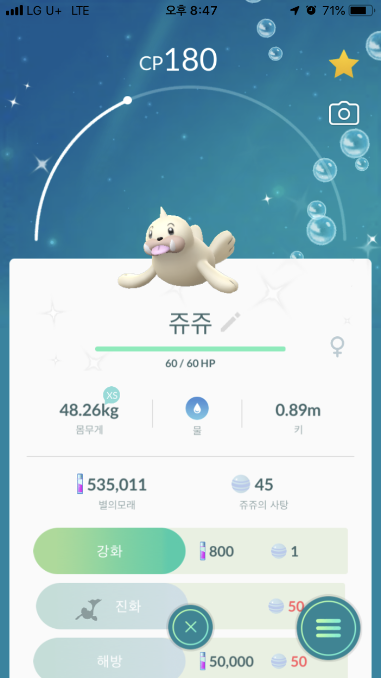  쥬쥬 이로치