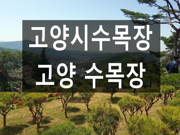  고양시수목장 정확한 위치가 어디인가요?