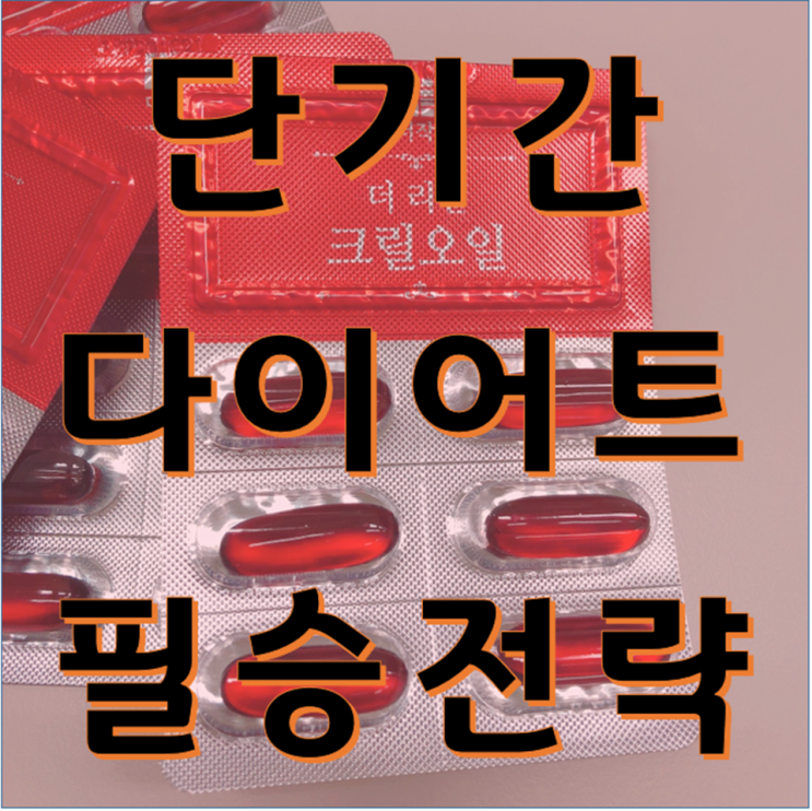  단기간다이어트 굶지않고 빼는 방법