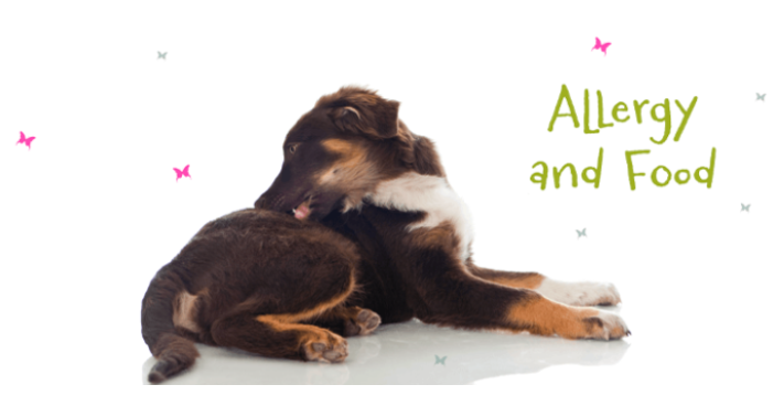 개는 무엇에 알레르기가 있습니까