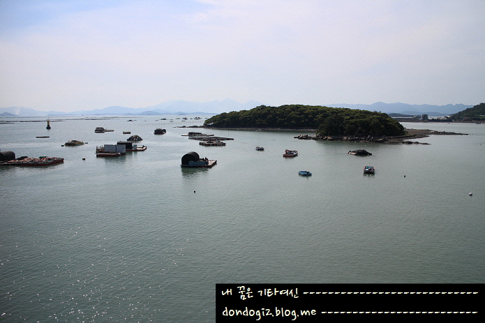  강진 관광지 순환 셔틀버스 - 마량항(마량미항, 전망대), 가우도 출렁다리 편