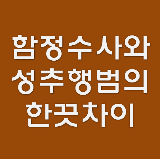  지하철 성추행 한의사 형, 몰카확인 사과