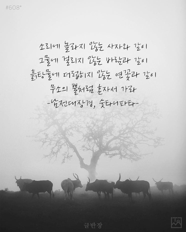 세상에서 가장 불편한 연애 상담센터 - 레이커즈