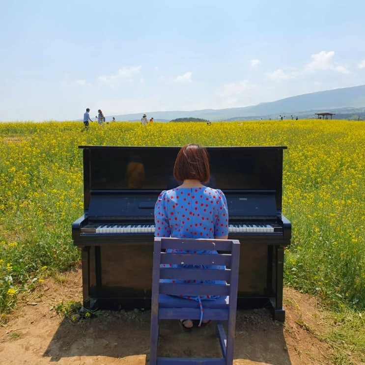  [여행] 제주도 서쪽 투어 :: 2박3일 보고 느낀 5월의 제주,마지막날