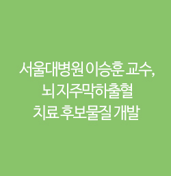  서울대병원 이승훈 교수, 뇌 지주막하출혈 치료 후보물질 개발