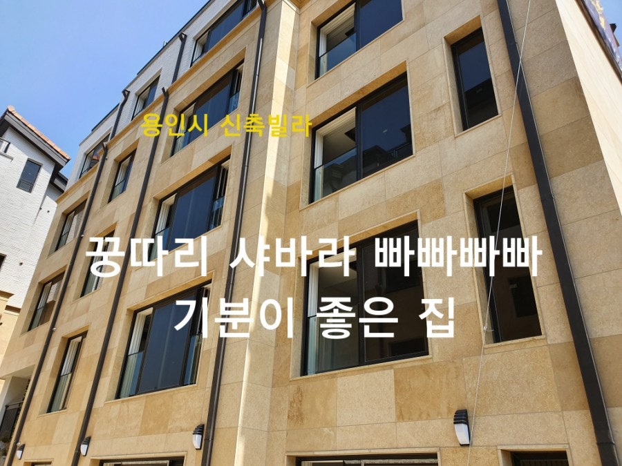 꿍따리샤바라 사진 2