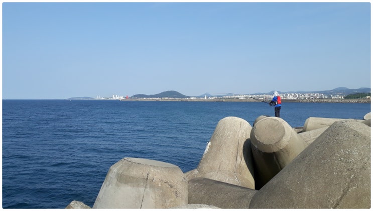  제주항 도시어부 생활낚시의 천국 제2부두 진입 서부두 긴방파제 낚시포인트와 가능한 바다낚시 장르 모음