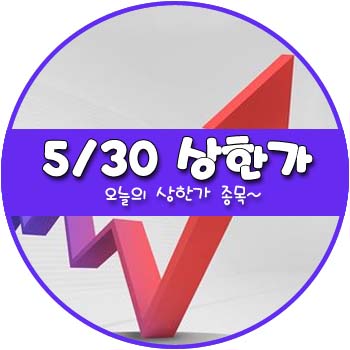 오늘의 상한가 및 테마주 5월 30일 _ 한화우 SK네트웍스우 금호산업우 아시아나IDT 오늘의 상한가 및 테마주 5월 30일 _ 한화우 SK네트웍스우 금호산업우 아시아나IDT