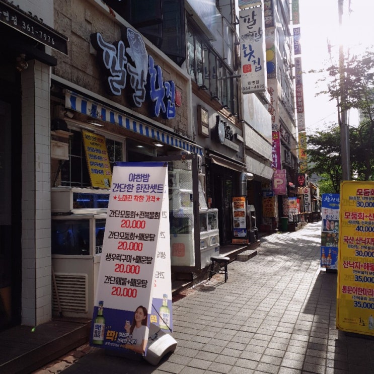  화명동 맛집. 팔팔횟집 오징어회 굿