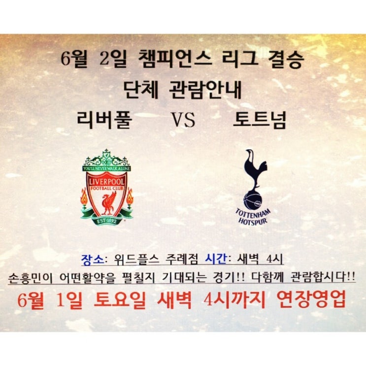  리버풀VS토트넘 챔피언스리그 결승전 단체관람