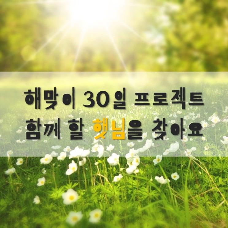  (마감) 작열하는 태양, 여름의 시작! 해맞이 30일 프로젝트를 함께할 햇님들 여기여기 붙어요~