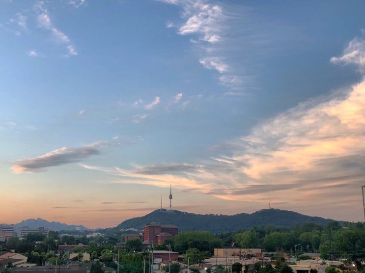  2019. 6. 1