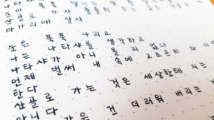  [제나일 만년필] : 초보자의 만년필 사용기