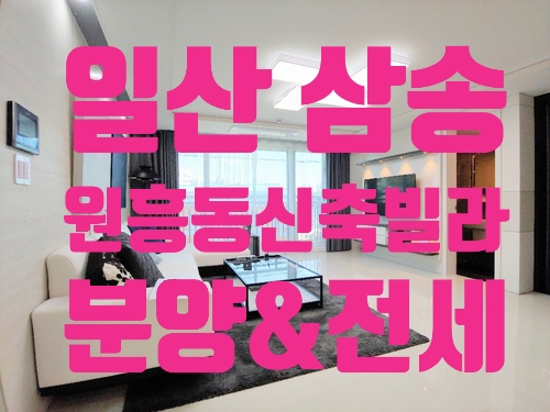  일산 삼송원흥신축빌라 분양 전세