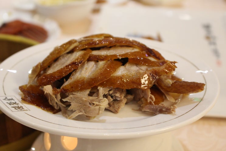  [가족여행] 칭다오 맛집 오사광장 근처 북경오리 맛집