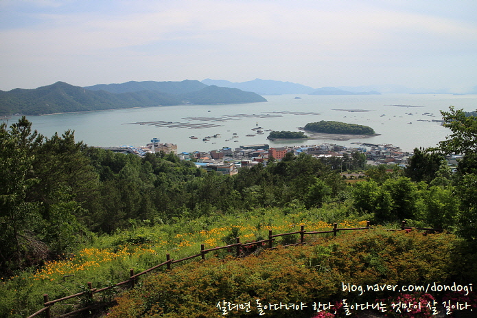  전남 강진 마량항 2/2 - 뒷산 정자에서 바라본 전경, 그리고 그 바람에 놓친 버스와 들어 먹은 욕