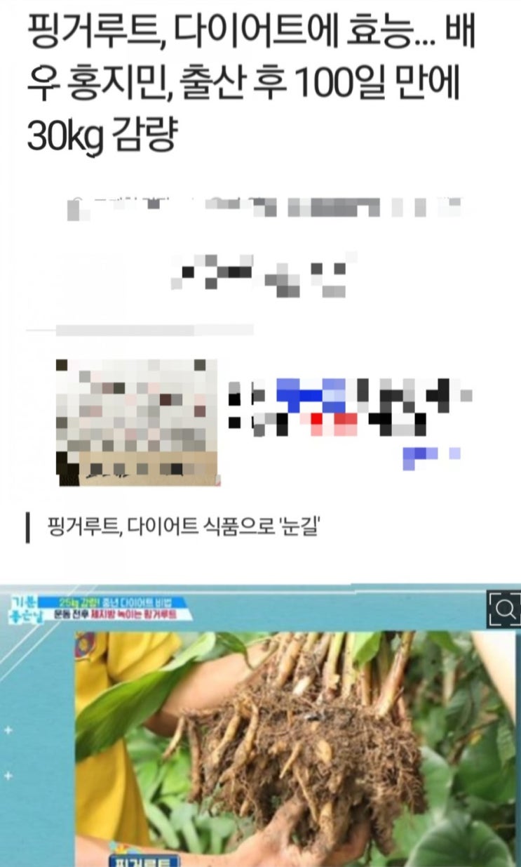  판도라 다이어트 :: 핑거루트로 건강하게 몸매관리 (상세후기)