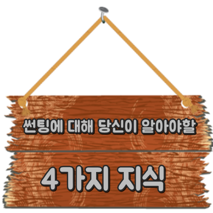  [자동차 기초지식] 썬팅에 대하여 알아보자