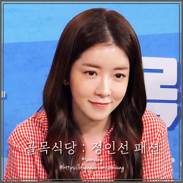  티비속 그옷 :: 골목식당 정인선 패션, 타탄체크 원피스 어디꺼야? (Feat. 비지트인뉴욕)