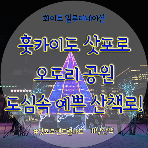  [홋카이도여행] 삿포로 도심 속 예쁜 산책로 오도리공원_화이트 일루미네이션 그리고 뭔헨 크리스마스 마켓 / 계절별축제, 날씨, 복장