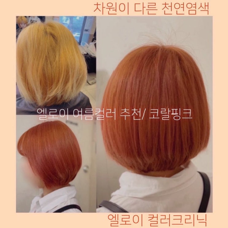  엘로이 여름컬러 추천/ 차원이 다른 천연염색/코랄핑크