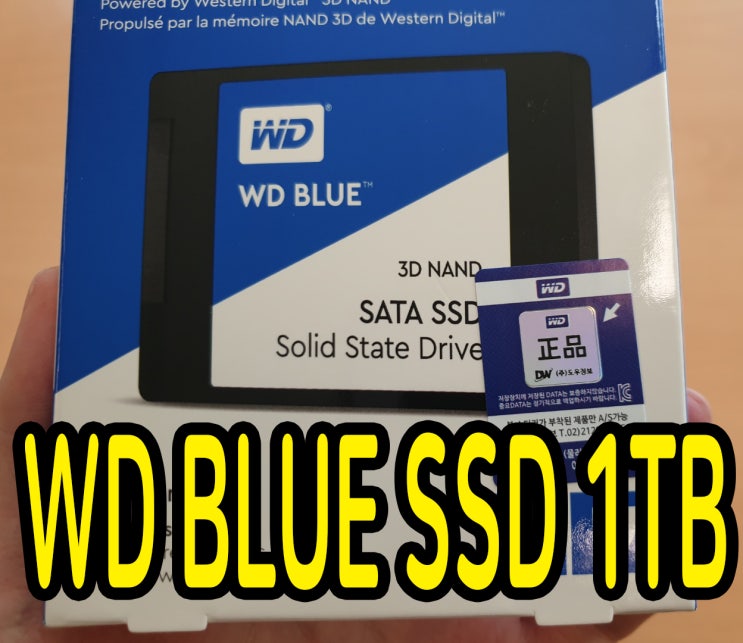  WD BLUE 1TB SSD 구매 및 사용 후기