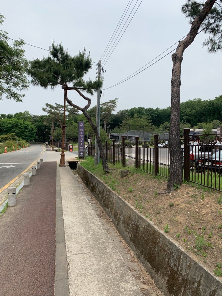 서오릉 나들이