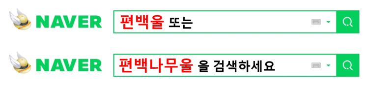  신림동 강간미수범 추가CCTV영상 확보