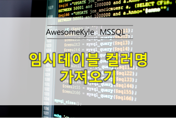  [mssql] 임시테이블 컬럼명 가져오기