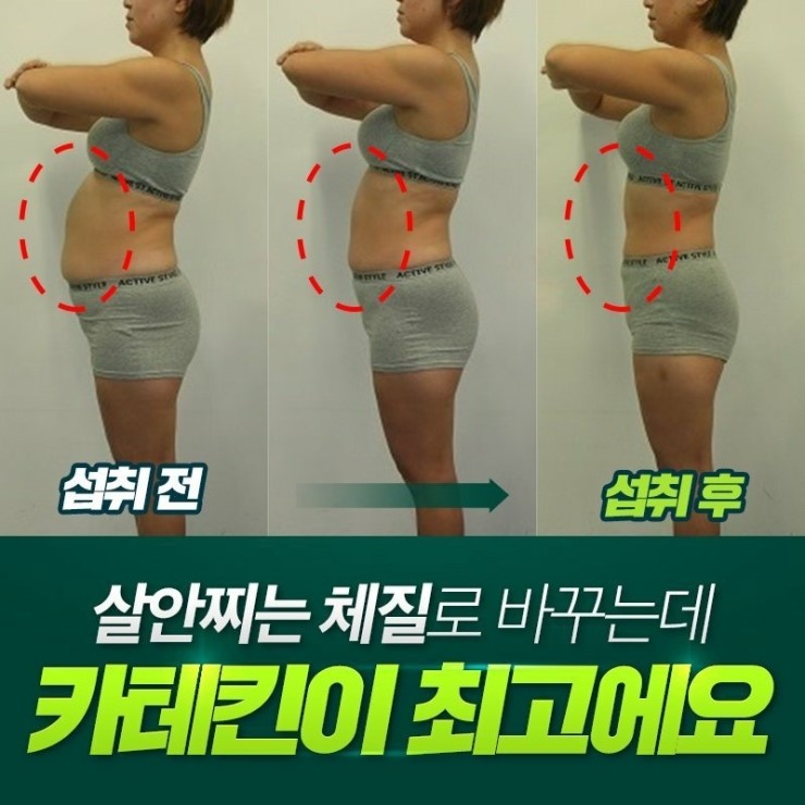  카페킨에 약해도OK " 다이어트 전격 돌입! + PPC포르테(지방분해성분) 전원증정