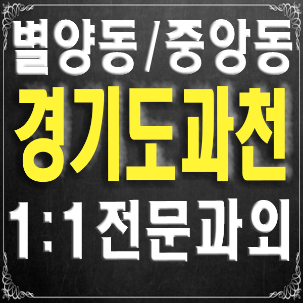  경기 과천 별양동 중앙동 전문 과외 중학생 영어과외 고등학생 국어과외 논술 내신 기말고사