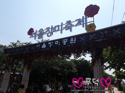  2019, 서울 장미 축제