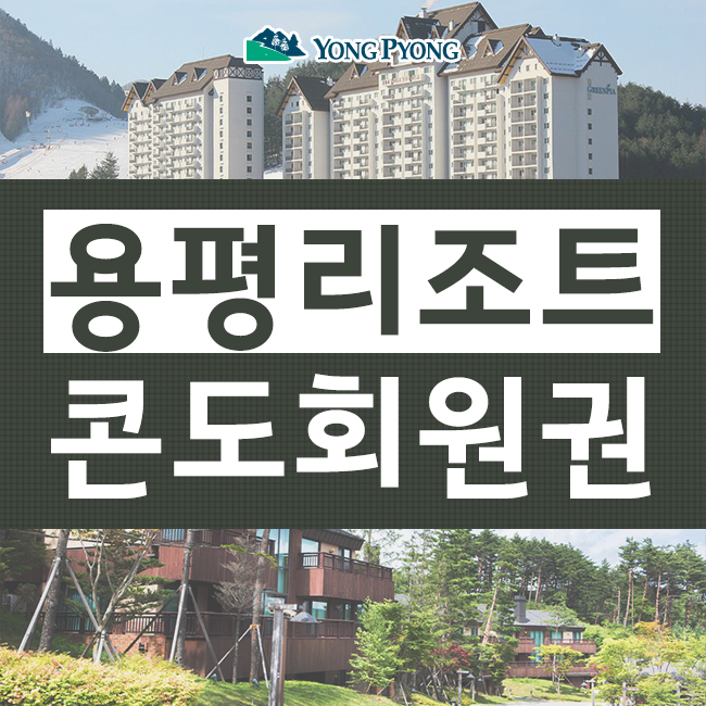  용평리조트회원권, 꾸준한 상승세를 타는 콘도회원권 체크!