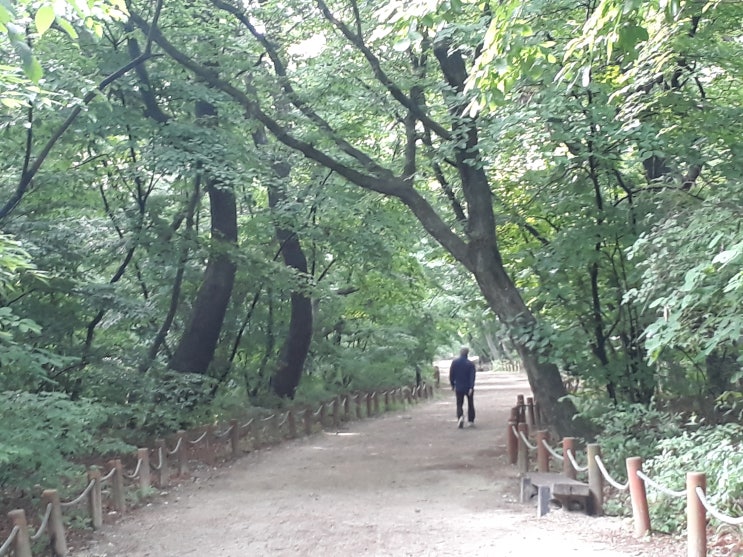  함양하면 '상림공원'이 제일 먼저 떠오른다... 김범룡이 왔네