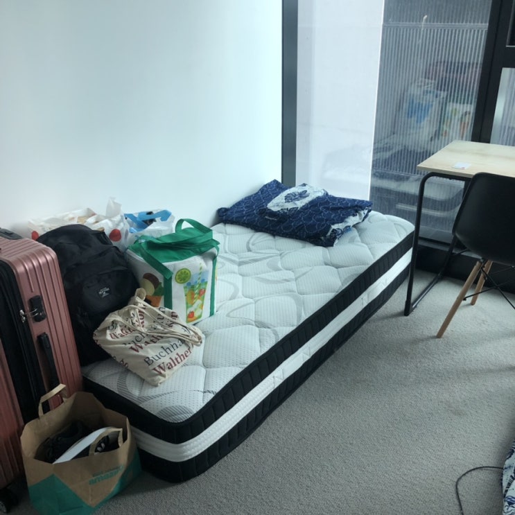  [Brizzie D+83~88] 브리즈번일상️