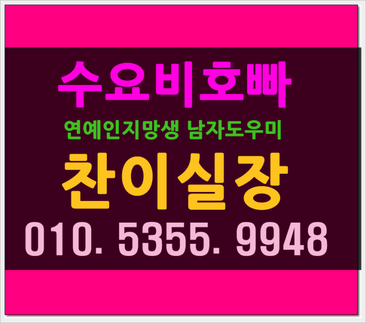  수요비 핫해오늘은