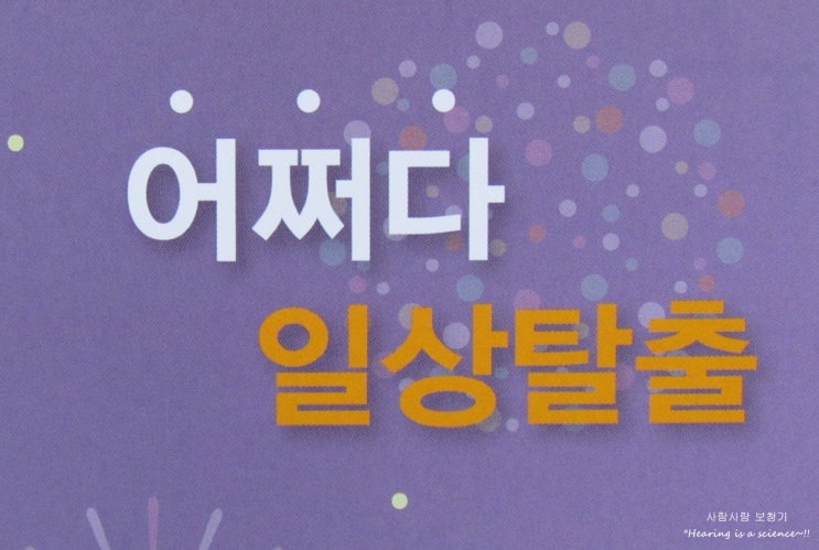  어쩌다 일상탈출, 대전 서구 힐링아트 페스티벌