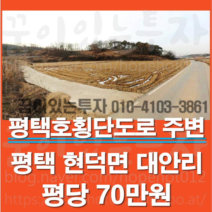 평택호횡단도로 주변 평택땅 (평택 현덕면 대안리 토지)